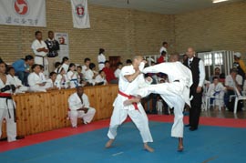 Ashihara Karate 20th Annual