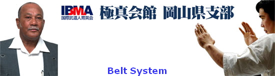 Belt System