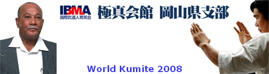 World Kumite 2008
